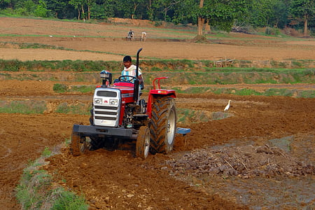 トラクター, 分げつ, 耕す, 機器, 農業, カルナータカ州, インド