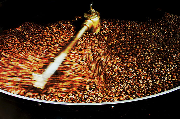 kaffebönor, kaffe, Costa Rica, skörd, dryck, bakgrund, koffein