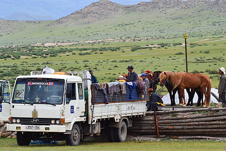 Moğolistan, Bozkır, atlar, Altay, camoin, ulaşım, kırsal sahne
