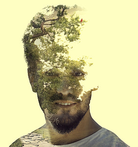 Double kokkupuute, Photoshop, kiht, puu, loodus, kokkupuute