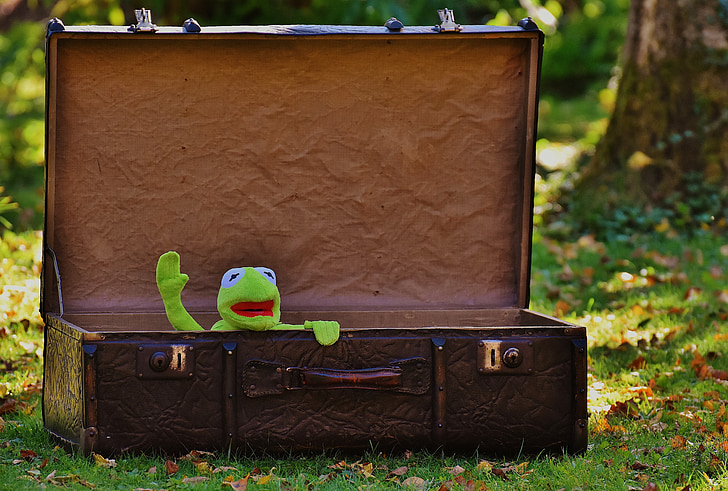 kermit, farewell, cute, children, funny, sweet, luggage