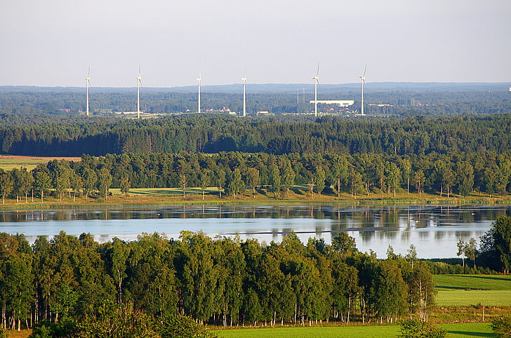 Falköping, Suedia, Râul, apa, Reflecţii, pădure, copaci