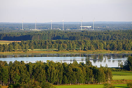 Falköping, Švédsko, řeka, voda, odrazy, Les, stromy