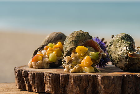 rapana, τροφίμων, παραλία, πλιγούρι βρώμης, φρούτα, το καλοκαίρι, στη θάλασσα