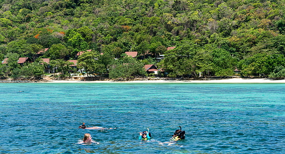 皮皮岛旅游, 普吉岛, 泰国, 海滩, 人, 人, 浮潜