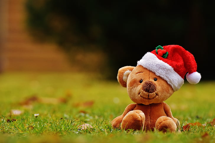 Рождество, Тедди, Мягкая игрушка, колпак Санта-Клауса, смешно, трава, без людей