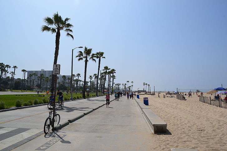 Californië, Promenade, stand, zon, palmbomen