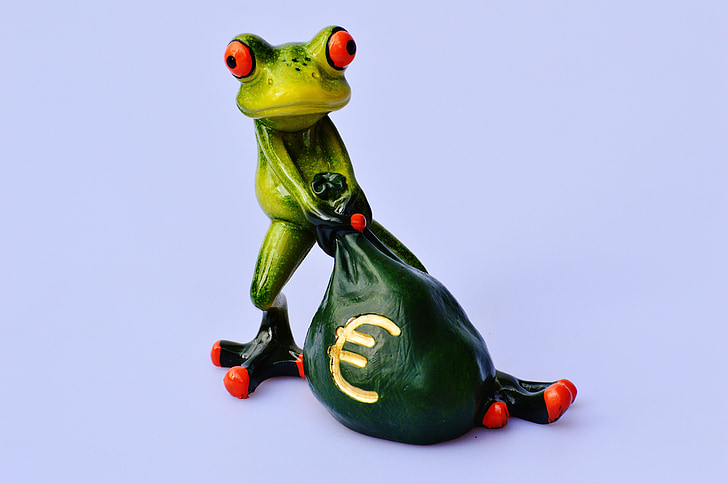 frog, money, euro, bag, money bag, funny, cute