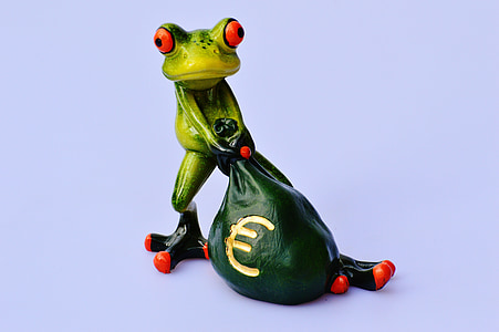 Kurbağa, para, Euro, çanta, para çantası, komik, şirin
