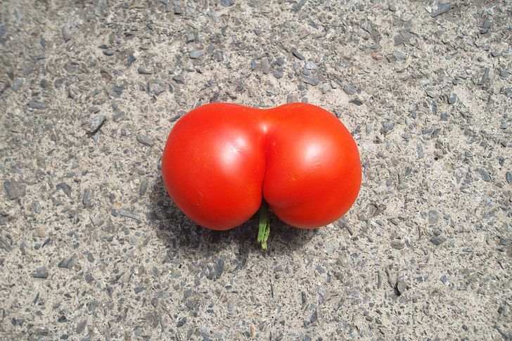 tomato, butt, funny, red, bio, eco, product