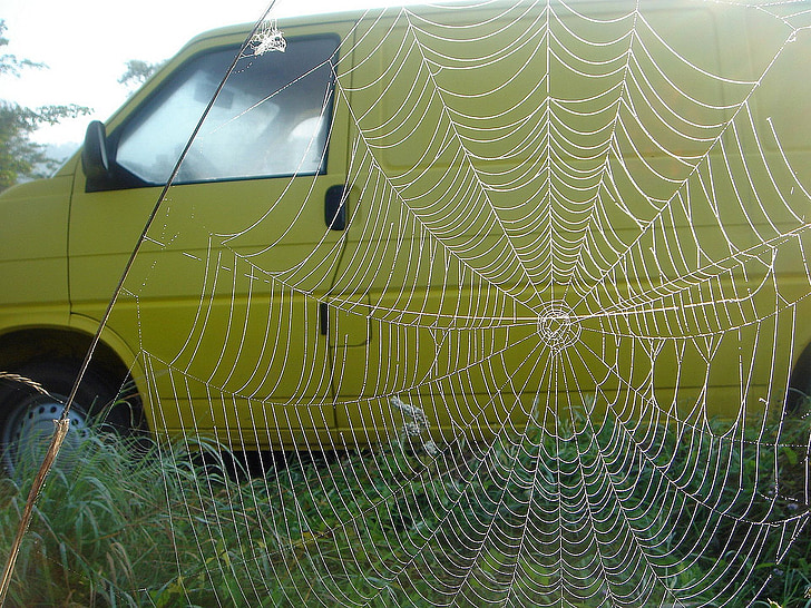 Auto, gul, webben, stora, intryck