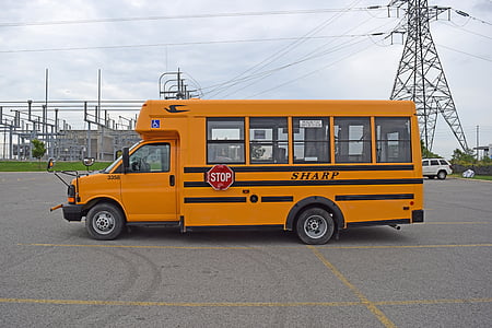 oranžna, avtobus, šola, prevoz, izobraževanje, vozila, varnost