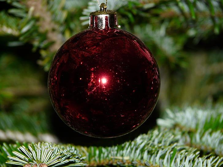 esfera de vidro, Natal, árvore de Natal, Sparkle