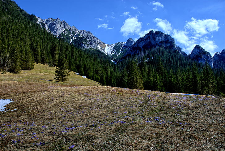 Tatry, Valle Kościeliska, invierno, primavera, Turismo, tatras occidentales, paisaje