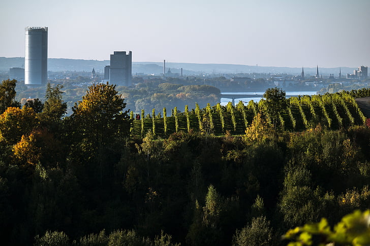Bonn, Skyline, felhőkarcoló, Bonn torony, hosszú eugen, szőlő, oberdollendorf