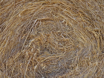 straw, straw bales, dry, rolled, pattern, hay, bale