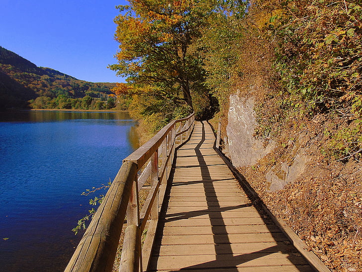 heimbach, north eifel, reservoir, trail, boardwalk, near hengebach castle, autumn