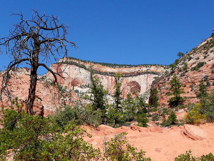 Zion national park, Utah, ABD, kaya, oluşumu, Kırmızı, erozyon