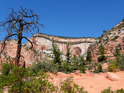 锡安国家公园, 犹他州, 美国, 岩石, 形成, 红色, 侵蚀