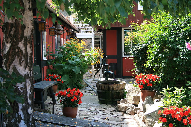 Bornholm, Dinamarca, pati del darrere, jardí, font