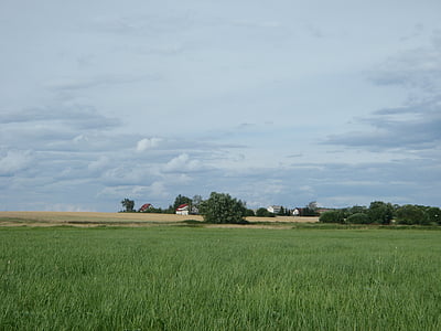landscape, field, village, sky