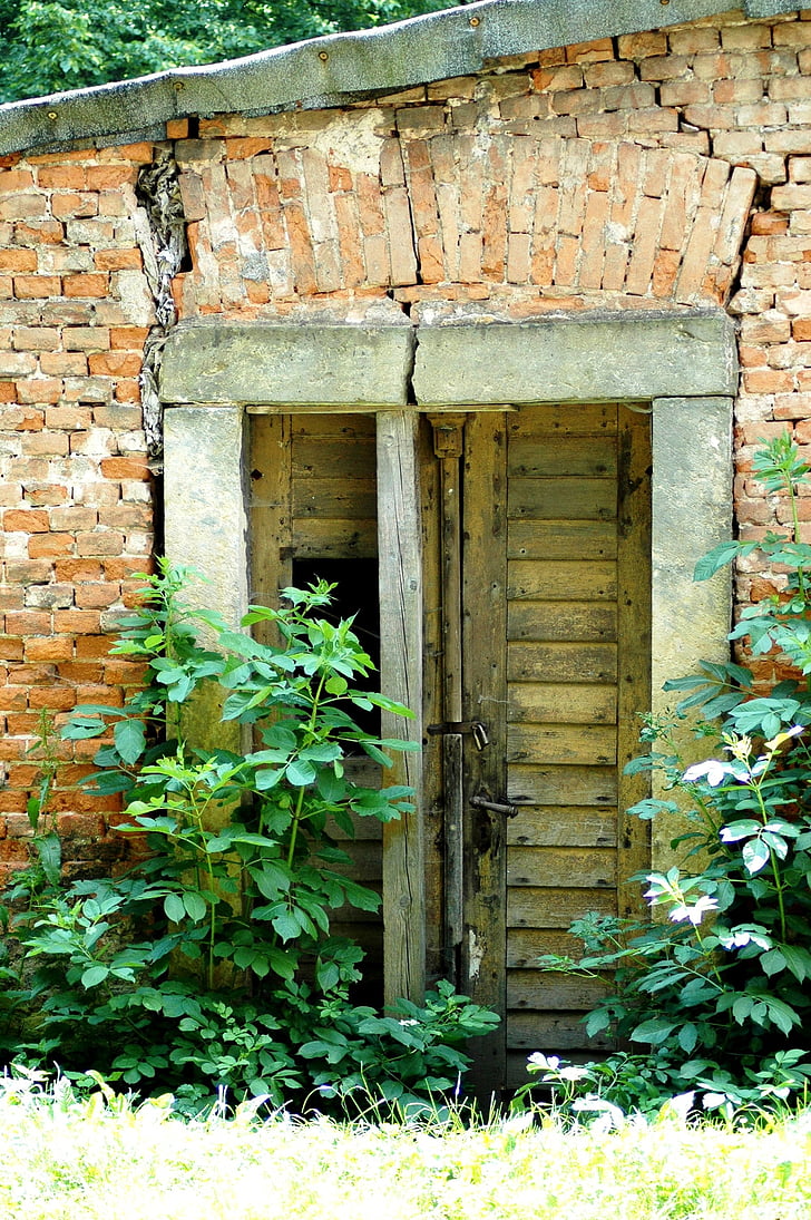 pintu, dinding, batu bata, bangunan tua, hilang, banyak ditumbuhi
