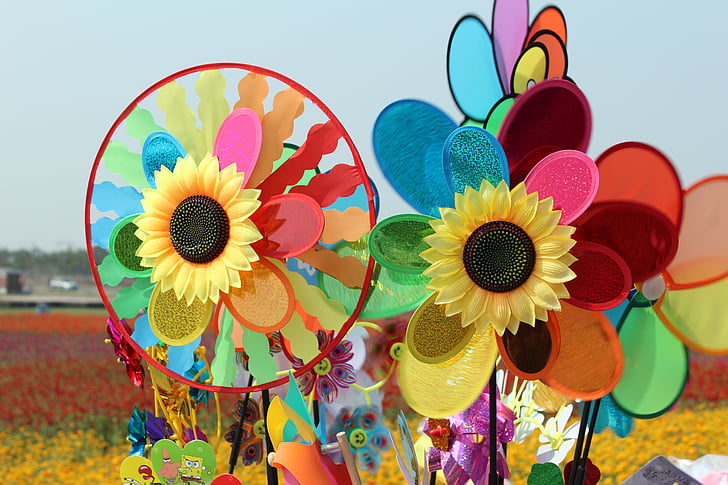 flying car, sunflower, color