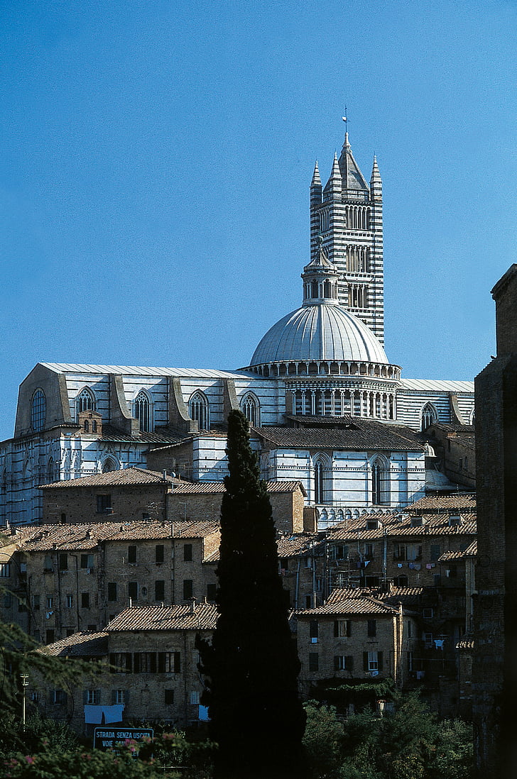 Siena, Duomo di siena, Cattedrale di santa maria assunta, karakteristisk, marmor, sort, hvid