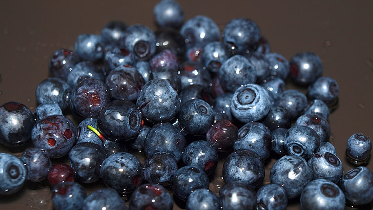 Blueberry, Berry, hutan berries, closeup, latar belakang