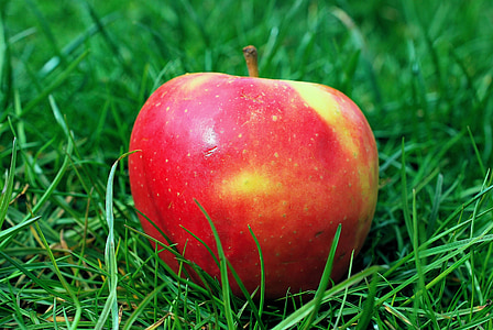 Apple, jardín, hierba, fruta, naturaleza, alimentos, kernobstgewaechs