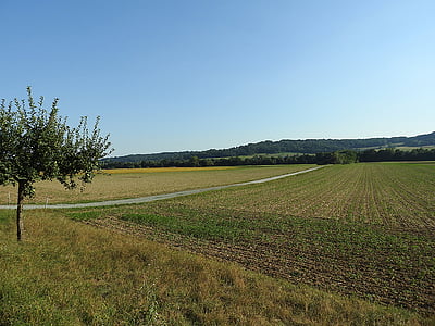landscape, fields, arable, nature