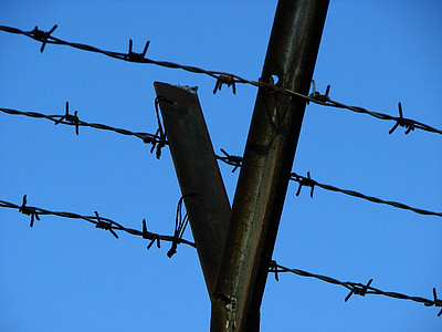wire, barbed wire, fence, caught, pointed, sky, thorn