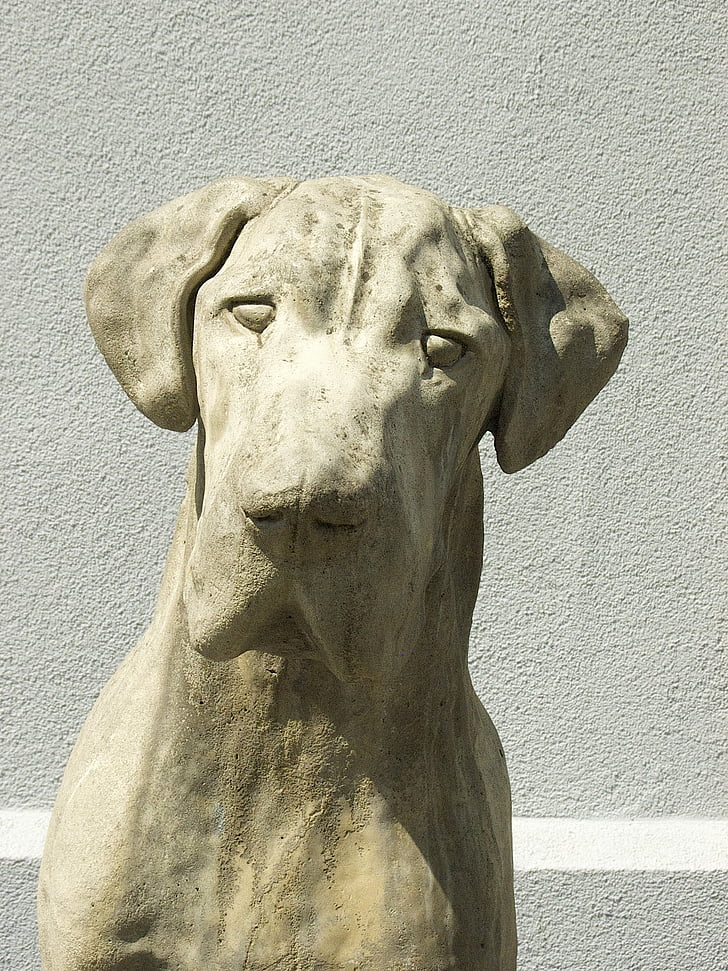 hund, statue, sten figur, sten