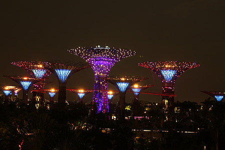night view, singapore, gardens bay, giant tree, asia, skyline, modern