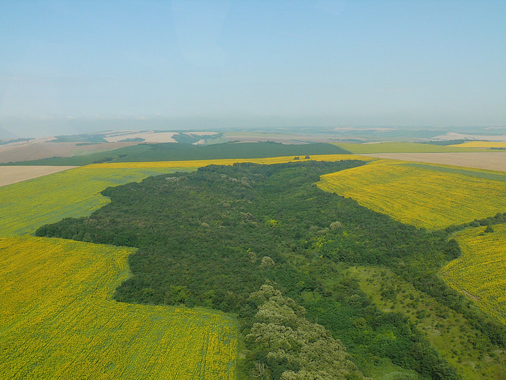 bulgaria, nature, the danube plain, landscape, field, fields, yellow