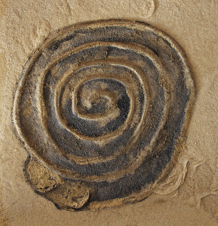 spiral, art, snail, sand picture, abstract, eddy, circle