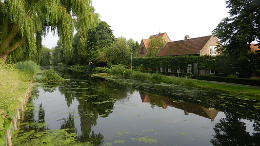 Hà Lan, cảnh quan, màu xanh lá cây, Thiên nhiên, phản ánh, cây, Lake