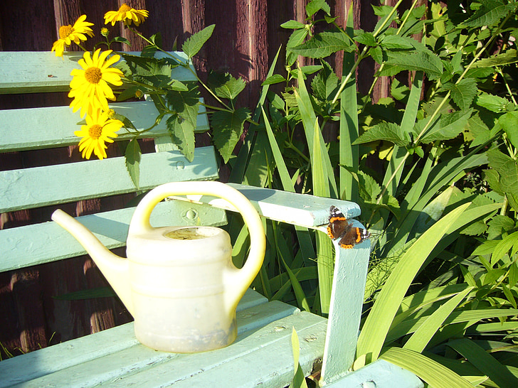 watering can, irrigation, casting, garden, bank, sunflower