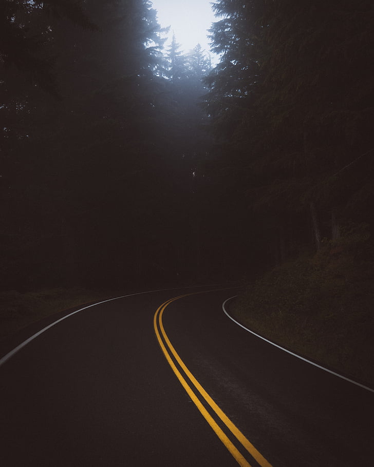 dark, road, travel, trees, plant, nature