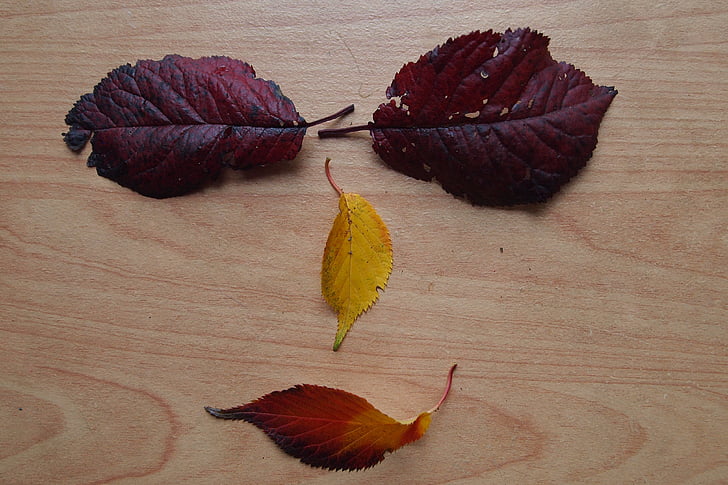 autumn leaves, play, face, autumn, seasons