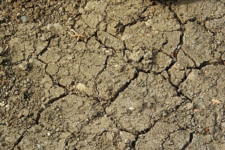 rissige Erde, Dürre, trockener Boden, das trockene Land, Risse in der Erde, Clay, Landwirtschaft