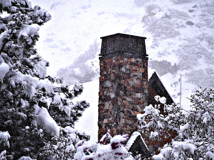 chimney, house, trees, snow, cold, winter