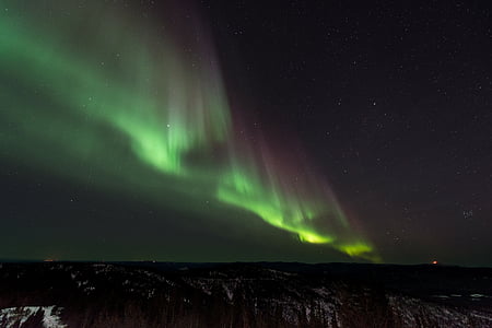 Aurora, aurora borealis, nat, nordlys, Sky, stjerner, træer