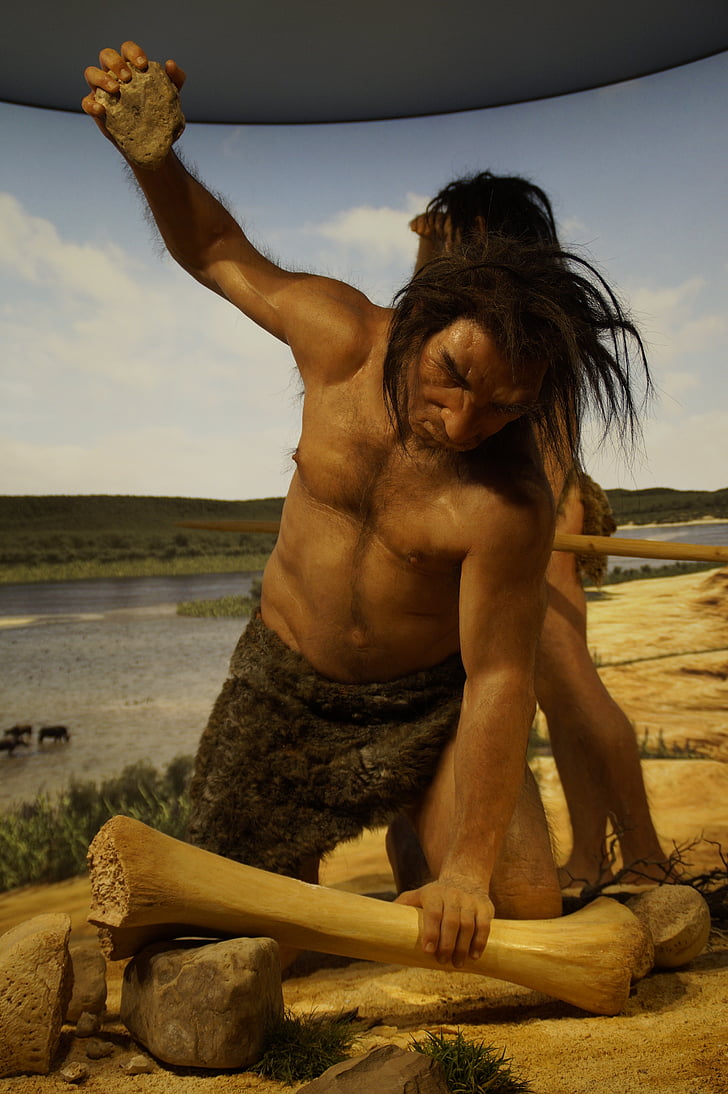 ancestor, stone age, caveman, neanderthal, hunting, hunt, museum