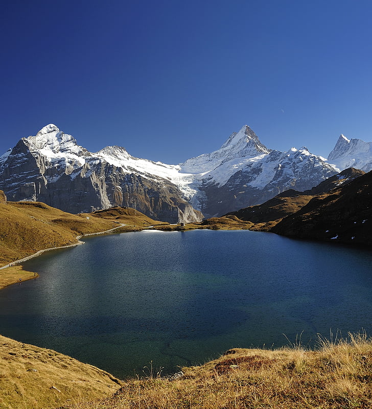 Alpski, čudovito, modra, vzpon, hladno, suha trava, ledenomrzel