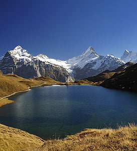 Alp, güzel, mavi, tırmanış, soğuk, kuru ot, ayaz