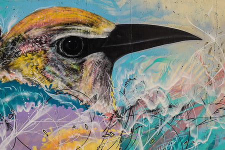 graffiti, colorful, graffiti wall, bird, cyprus, ayia napa