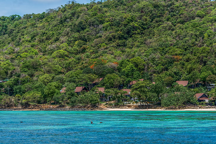 ไทย, ทัวร์เกาะพีพี, คน, คน, ดำน้ำดูปะการัง, ท่องเที่ยว, ธรรมชาติ