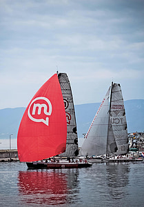sailboat, regatta, racing, fast, boat, sea, match race