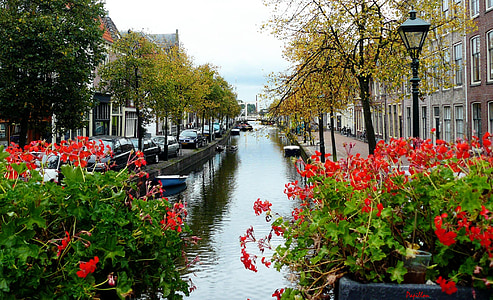 kanāls, ūdens, kanāls, Amsterdam, Holande, Nīderlande, pilsēta